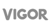 Logo da Vigo cliente atendido pela Rayflex